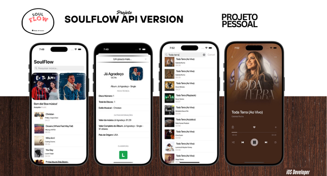 Soul Flow Api Version